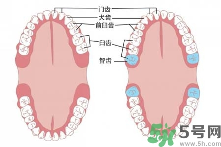 智齒橫著長(zhǎng)怎么辦？智齒橫著長(zhǎng)一定要拔了嗎？