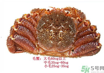 毛蟹蒸多長時間？毛蟹蒸多久會熟？