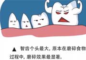 智齒拔了好不好？智齒能不拔嗎？