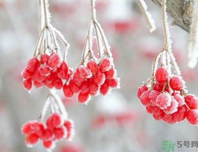 霜降是幾月幾日？霜降是什么意思？