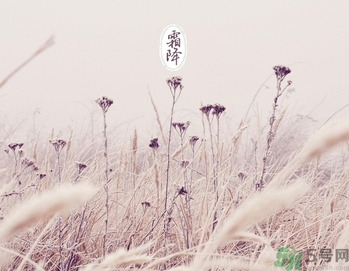 霜降是什么季節(jié)？霜降是秋天還是冬天？
