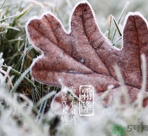 霜降出生的孩子好嗎？霜降出生的寶寶怎么取名？