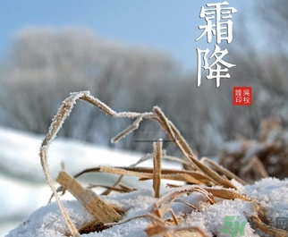 霜降出生的孩子好嗎？霜降出生的寶寶怎么取名？