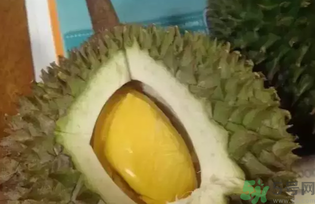 榴蓮吃多了會(huì)怎么樣？榴蓮吃多了好嗎？