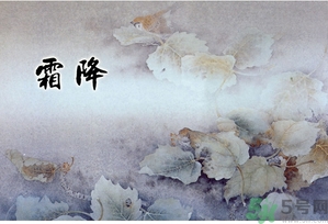 霜降為什么要吃柿子？霜降吃柿子有什么好處？
