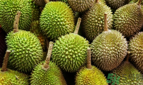 榴蓮可以冷凍保存嗎？榴蓮放冰箱是冷藏還是冷凍？