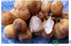 椰色果的功效作用 椰色果怎么吃？