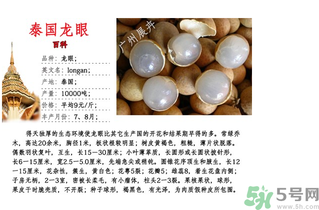 泰國龍眼什么時候上市？泰國龍眼多少錢一斤？