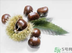 老人能喝板栗酒嗎？板栗怎么泡酒呢？