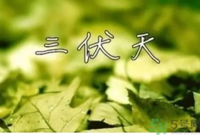 三伏天可以理發(fā)嗎？三伏天為什么不能理發(fā)？
