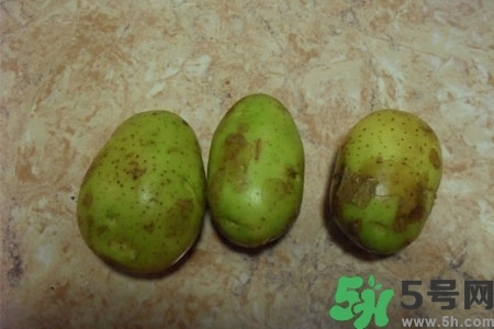 土豆發(fā)綠還能吃嗎？土豆發(fā)綠皮削皮后能吃嗎？