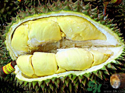 月經(jīng)期間可以吃榴蓮嗎？來月經(jīng)可以吃榴蓮嗎？