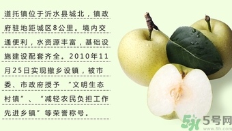 牛心果怎么吃？牛心果的功效和作用