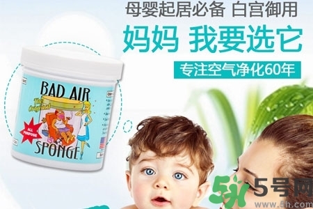 美國bad air sponge空氣凈化劑多少錢？