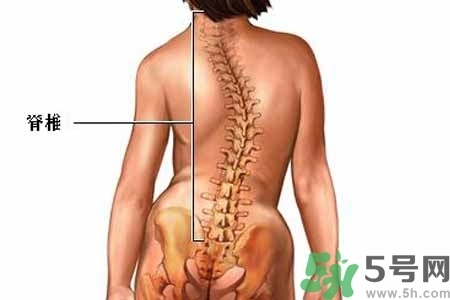 僵直性脊椎炎的癥狀有哪些？怎樣預(yù)防僵直性脊椎炎？