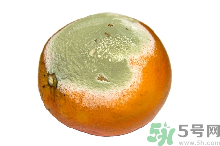 水果發(fā)霉了可以吃嗎？發(fā)霉的水果對人體有什么危害？