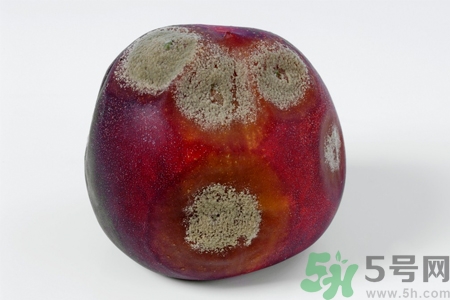 水果發(fā)霉了可以吃嗎？發(fā)霉的水果對人體有什么危害？