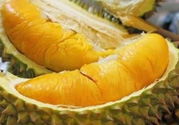 小孩能吃榴蓮嗎？榴蓮小孩能吃嗎？