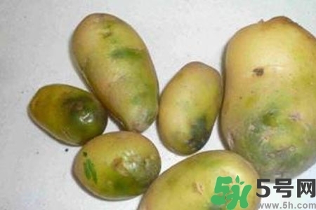 土豆發(fā)綠還能吃嗎？土豆發(fā)綠皮削皮后能吃嗎？
