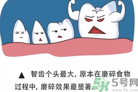 智齒拔完后有個洞怎么辦？拔智齒后有個洞多久能長好？