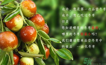 晚上吃棗子會胖嗎？晚上吃新鮮棗子會胖嗎？
