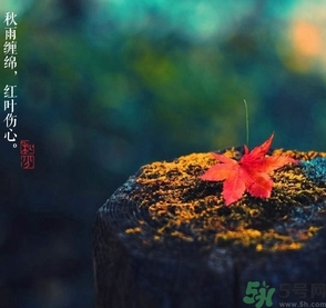 秋分做什么運(yùn)動(dòng)好？秋分運(yùn)動(dòng)注意事項(xiàng)