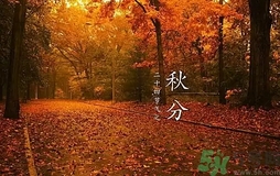 秋分做什么運(yùn)動(dòng)好？秋分運(yùn)動(dòng)注意事項(xiàng)