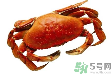 10月份吃螃蟹好嗎？10月份吃什么螃蟹？