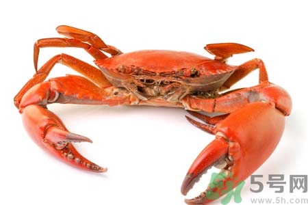 10月吃陽澄湖大閘蟹好嗎？大閘蟹怎么做好吃？