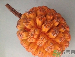 山菠蘿怎么吃？山菠蘿的功效與作用