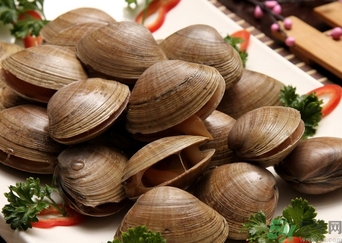 蜆子煮多長時間？蜆子怎么煮？