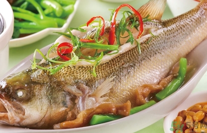 鱸魚(yú)和桂魚(yú)哪個(gè)好吃？鱸魚(yú)和桂魚(yú)的區(qū)別