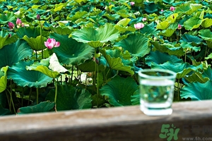 小蘇打能治癌癥嗎？蘇打水可以治癌癥嗎？