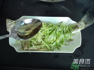 鱸魚蒸多長時間？鱸魚怎么蒸？