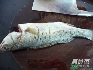 鱸魚蒸多長時間？鱸魚怎么蒸？