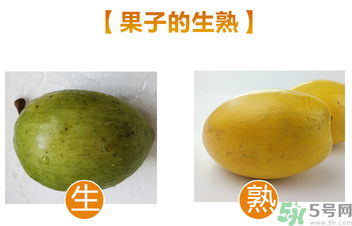 蛋黃果多少錢一斤？蛋黃果什么時候成熟？