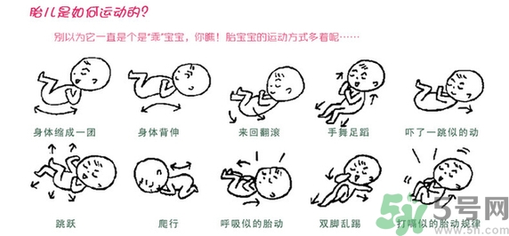 胎動(dòng)怎么數(shù)最正確？胎動(dòng)有什么規(guī)律？