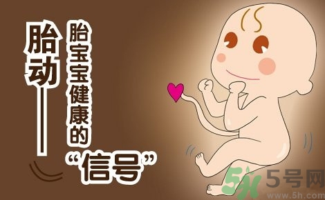 胎動(dòng)怎么數(shù)最正確？胎動(dòng)有什么規(guī)律？