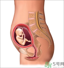 胎動(dòng)頻繁正常嗎?胎動(dòng)頻繁是什么原因？