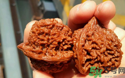核桃長蟲了還能吃嗎？核桃長蟲子怎么處理？