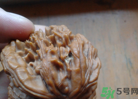 核桃長蟲了還能吃嗎？核桃長蟲子怎么處理？
