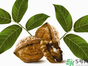 核桃一天吃幾個(gè)合適？核桃一天吃幾個(gè)最好？