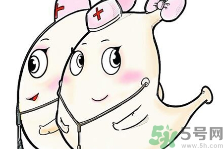 胃會(huì)餓小嗎？經(jīng)常肚子餓對(duì)胃有什么影響？