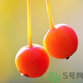 海棠果孕婦能吃嗎？海棠果的功效與作用