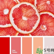 西柚色口紅的牌子哪款好？西柚色口紅有哪些牌子