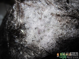 淳萃水舞櫻花洗發(fā)水好用嗎？淳萃水舞櫻花洗發(fā)水多少錢？