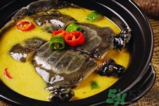 甲魚(yú)怎么吃最有營(yíng)養(yǎng)？甲魚(yú)怎么吃最補(bǔ)身體？