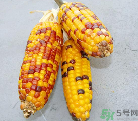 彩色玉米是轉(zhuǎn)基因嗎？彩色玉米能吃嗎？