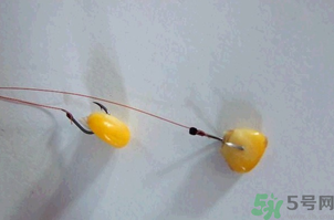 煮熟的玉米能釣魚(yú)嗎？煮熟的玉米能直接釣魚(yú)嗎？