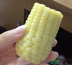 玉米沒煮熟能吃嗎？沒煮熟的玉米能吃嗎？